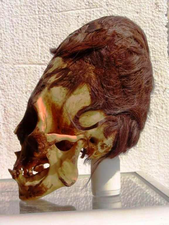 Cranii alungite din Peru relevă o specie umanoidă necunoscută (1)