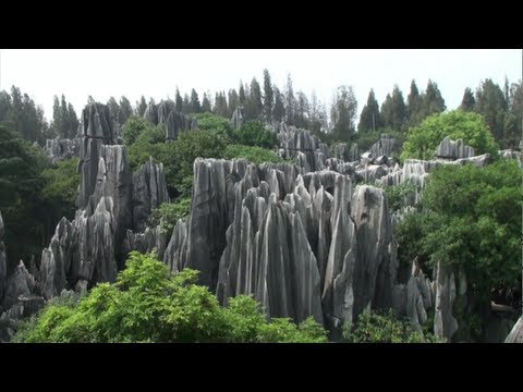 Pădurea de piatră de la Sihilin
