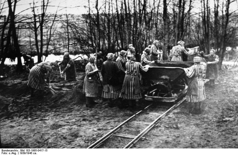 Allgemeiner Deutscher Nachrichtendienst - Zentralbild (Bild 183), Ravensbrück, Konzentrationslager, Wikipedia.