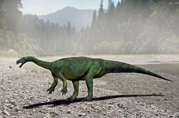 Un mare dinozaur descoperit în Africa de Sud