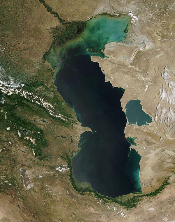 Fiinţe marine în Marea Caspică