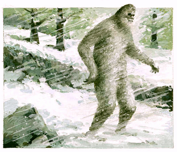 Yeti, omul zăpezii: primele observaţii