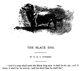 Câinele negru fantomă din Hanging Hills